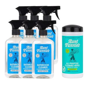 Aunt Fannie’s Lavatory Cleansing Bundle: 6-Pack Spray and 35-Rely Eucalyptus Vinegar Wipes