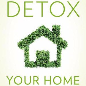 Cleanse Your Dwelling House